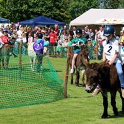 25th Annual Totton Donkey Derby 2020