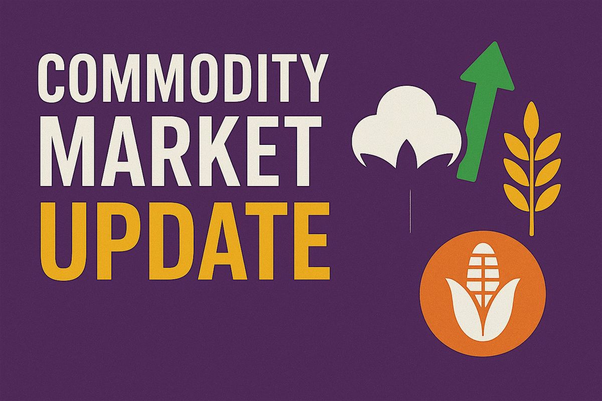 Horry Area Commodity Market Outlook and Update