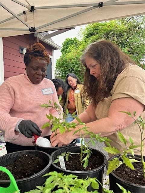Container Gardening with Growing Gardens
