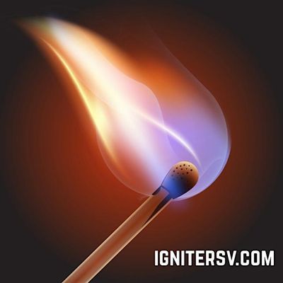 Igniter: Stanford Entrepreneurs & Silicon Valley Founders