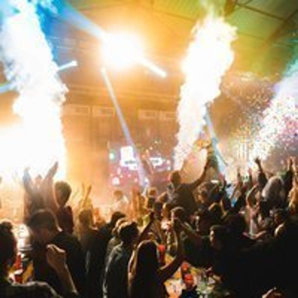 Bingo Lingo - Christmas Special