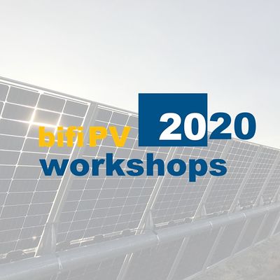 bifiPV 2020 Organizing Committee