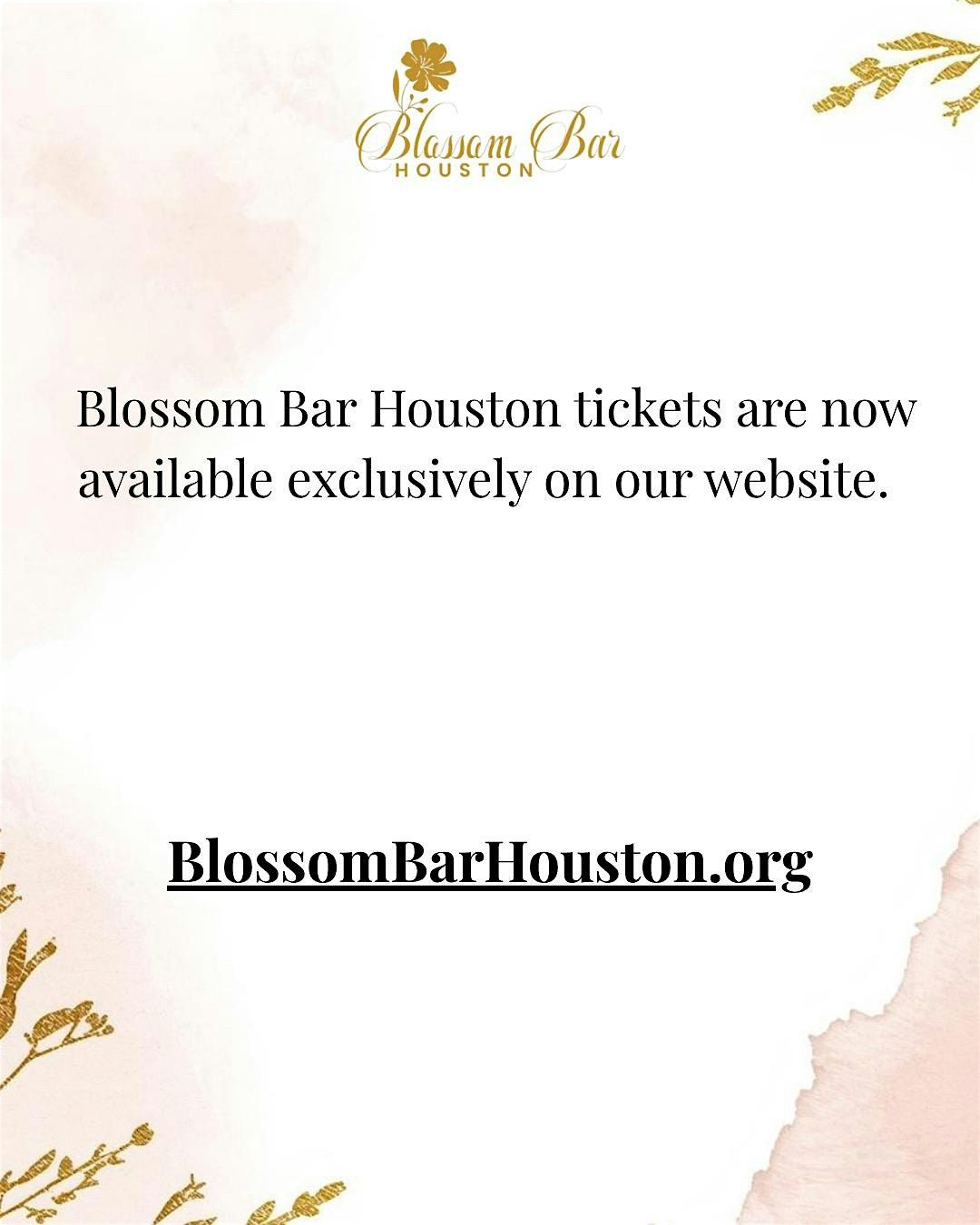 TICKETS ARE ON SALE ON OUR WEBSITE
