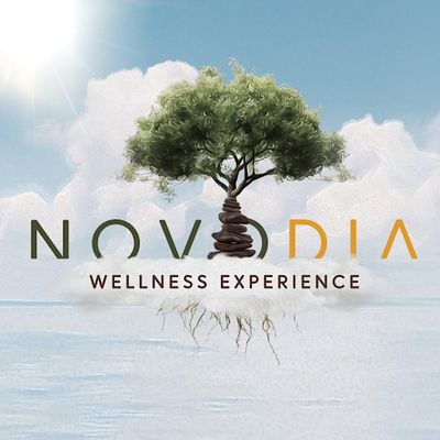 Novo Dia
