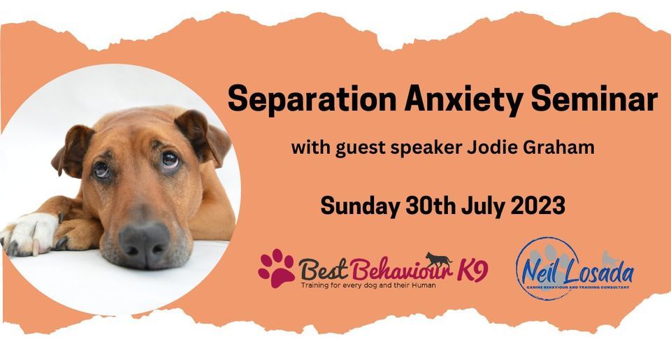 Picture Idea: Separation Anxiety Seminar Best Behaviour K9 74 Catley Road