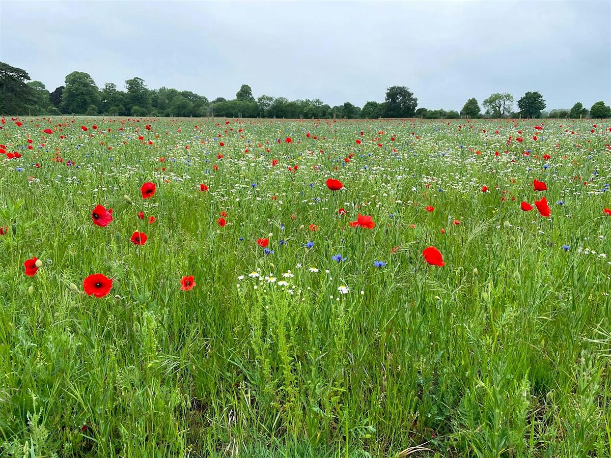 Wiltshire and Swindon Local Nature Recovery Partnership Forum