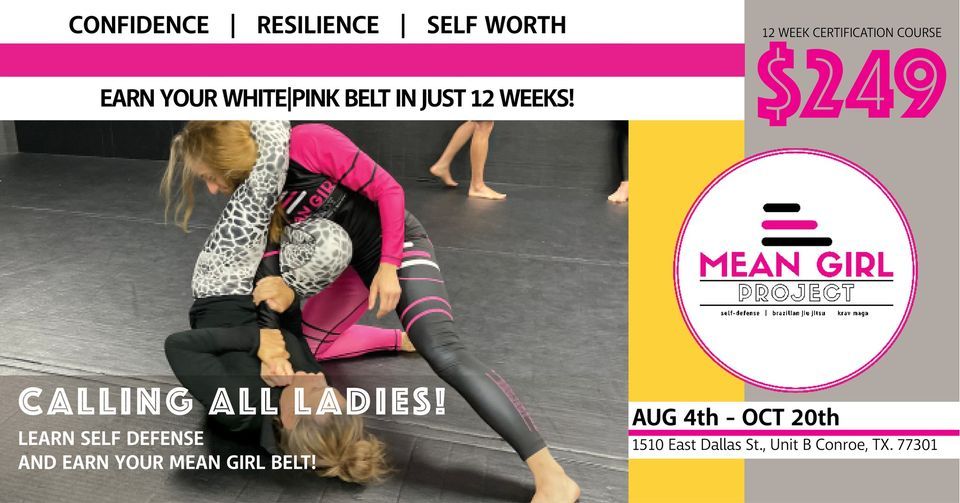 MEAN GIRL PROJECT 12 Week Self Defense Course for Women HOUSTON
