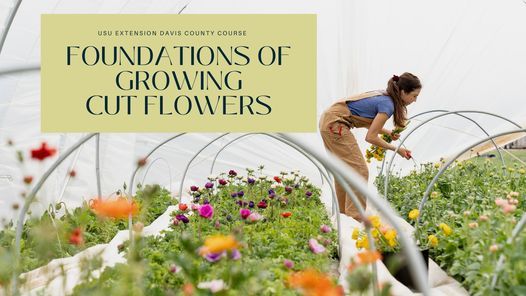 Usu Spring 2022 Schedule 2022 Course: Foundations Of Growing Cut Flowers | Usu Extension - Davis  County, Kaysville, Ut | January 12, 2022