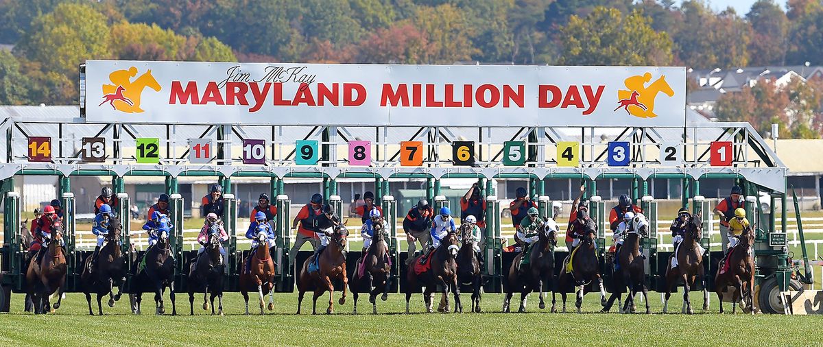 40th Maryland Million Day Winners Table Buffet