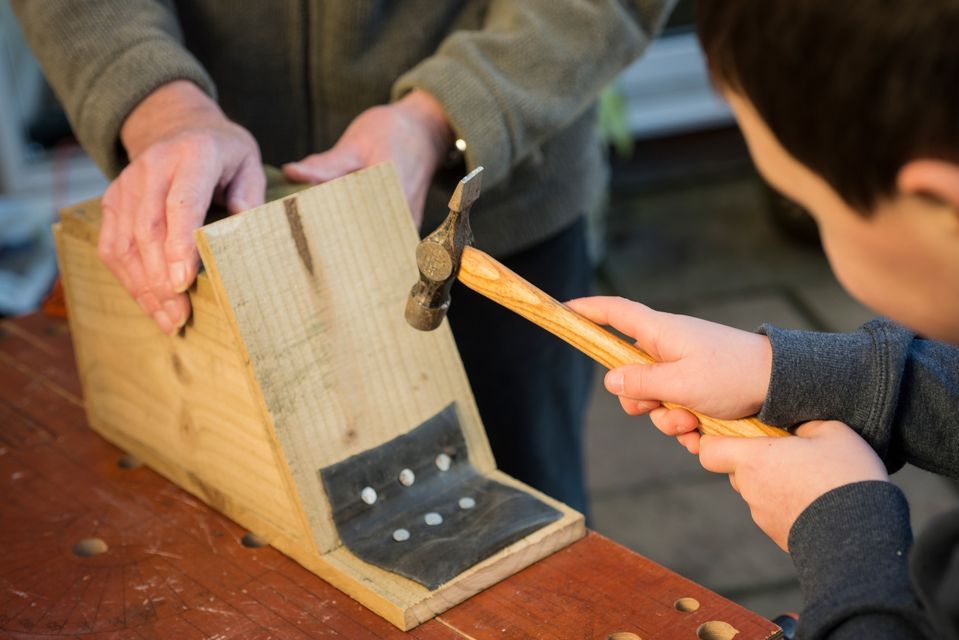 Bird Box Build + Guided Walk