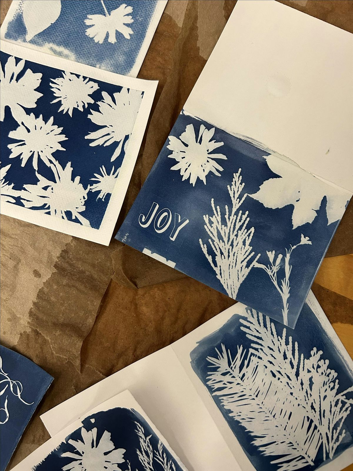 Cyanotype Holiday Cards!