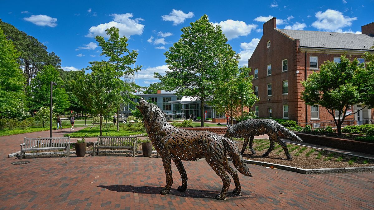 Parking Patrick Wolf