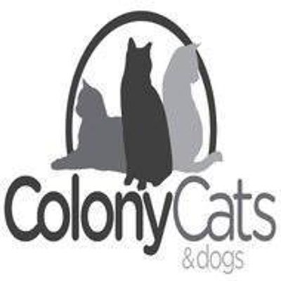 Colony Cats (& dogs)