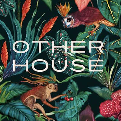 The Other House