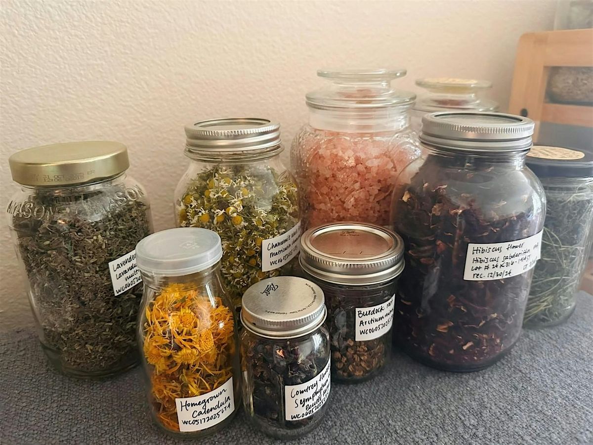 Herbal Harvest: Harvesting and Drying Herbs