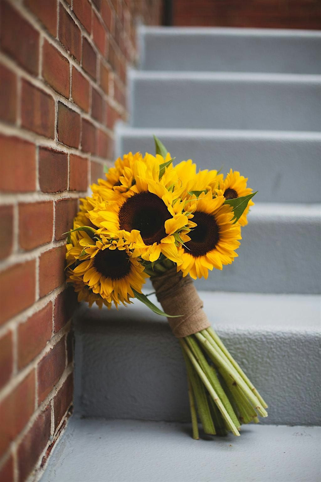 Sunflowers! - Flower Arranging Workshop
