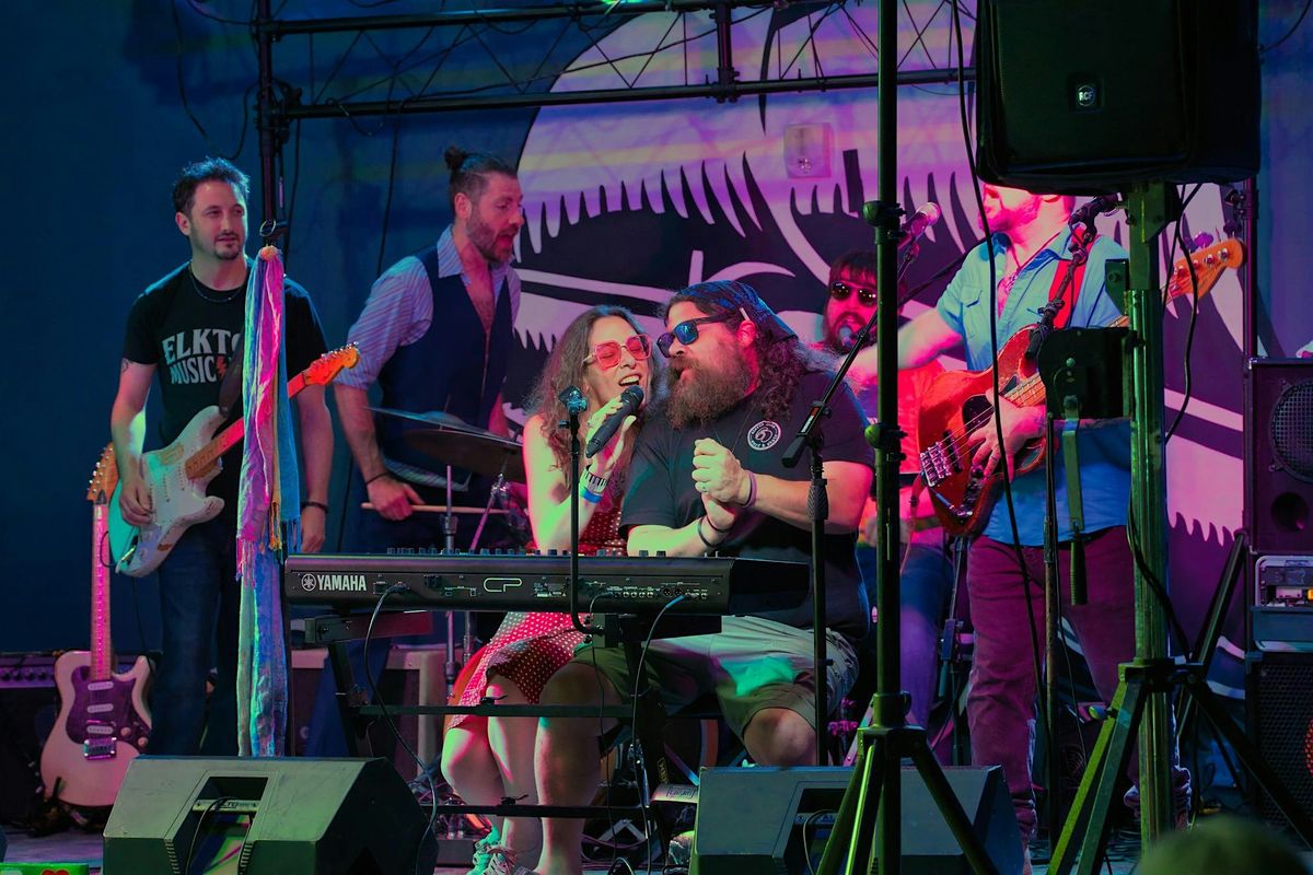 Sweet Leda (with Lower Case Blues) at Barrel House Live!