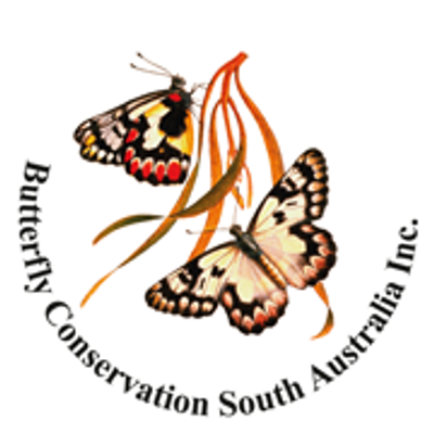 Butterfly Conservation South Australia