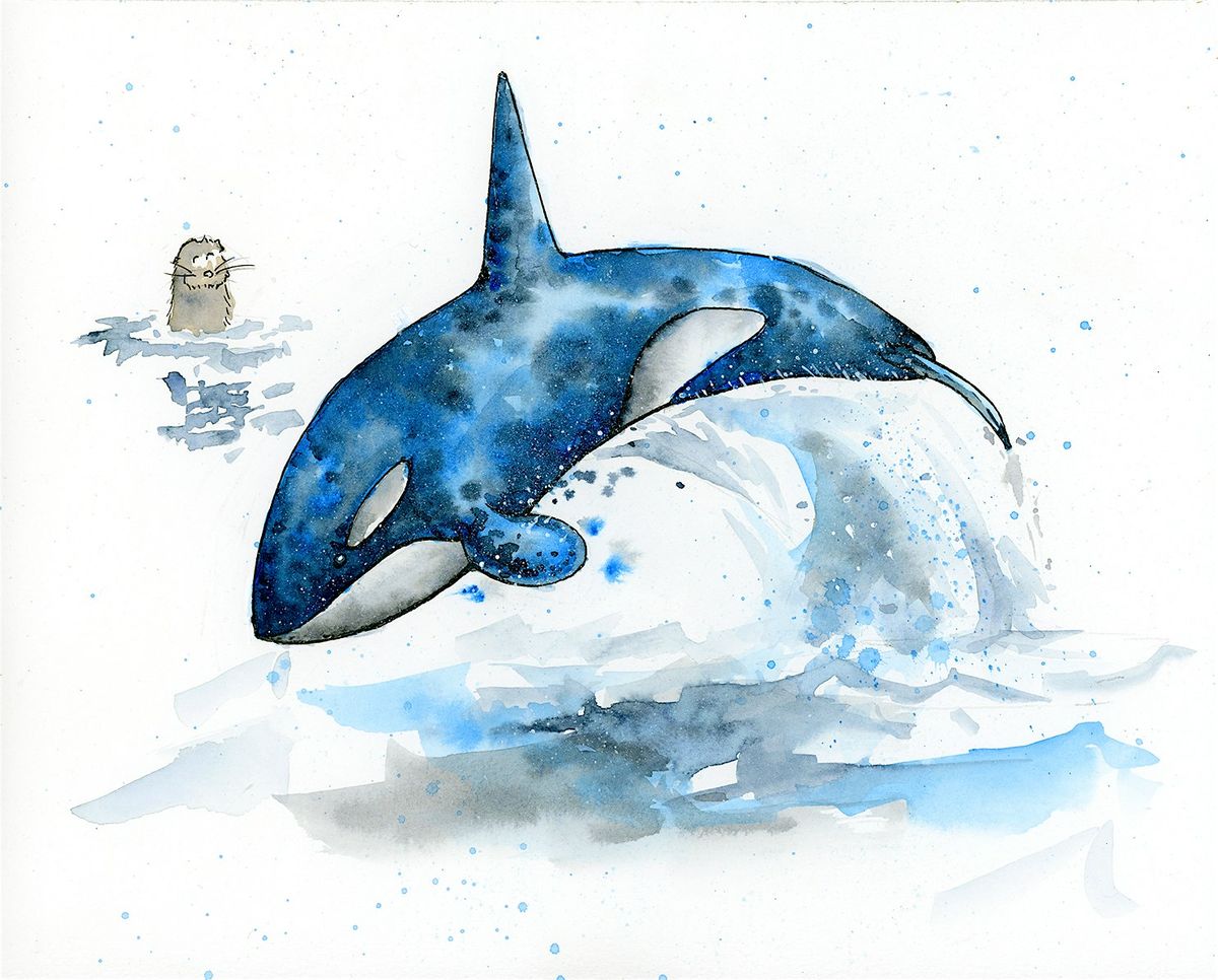 Watercolor 101: Orca Workshop