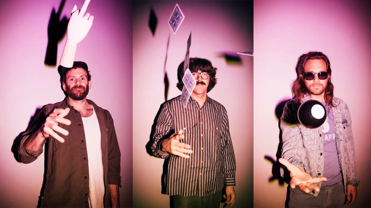 Goose in New Orleans