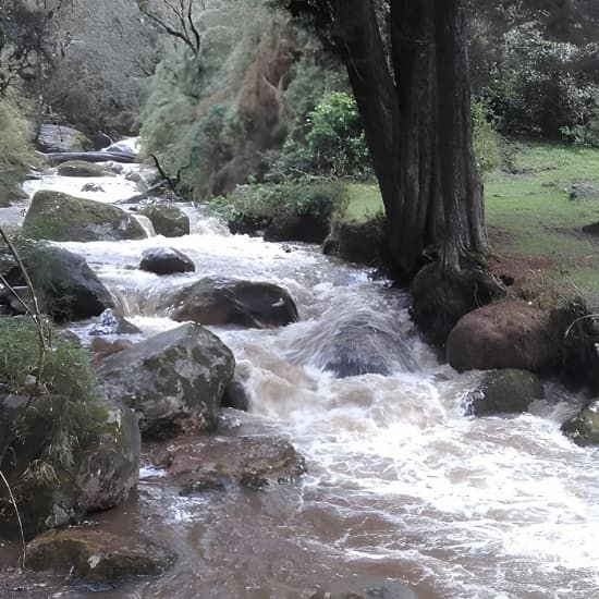 Reserve El Delirio - La Maria