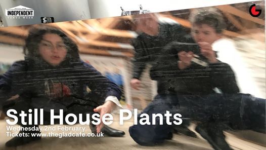 Independent Venue Week: Still House Plants + Comfort \/ 02.02 \/ The Glad Cafe, Glasgow