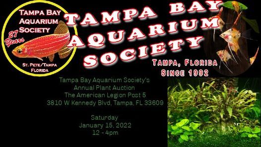 Tampa Bay Aquarium Society's Annual Plant Auction