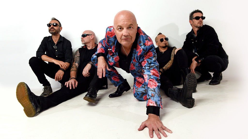 Chocolate Starfish - Best Of The Best