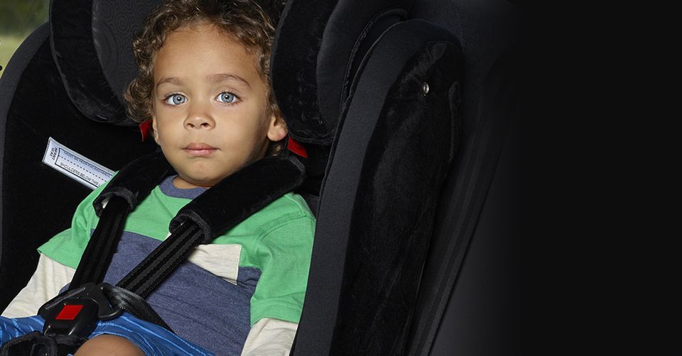 Free Child Restraint Checks - Parkes at Lions Memorial Park, Orange on ...