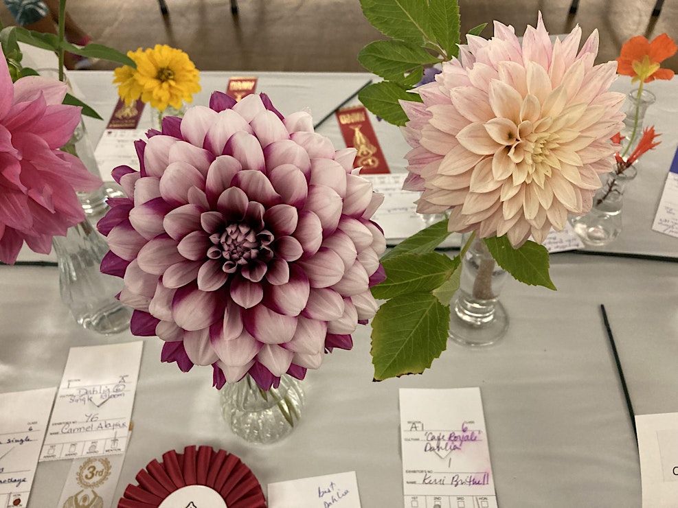 Event Photos