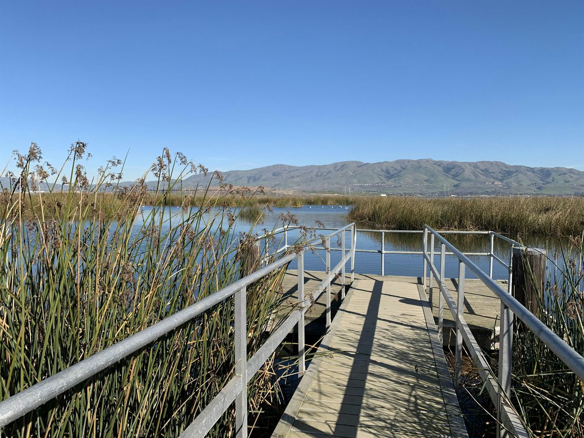 December 2025 King Tides in Alviso