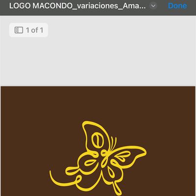 Macondo Coffee Roasters Little Havana