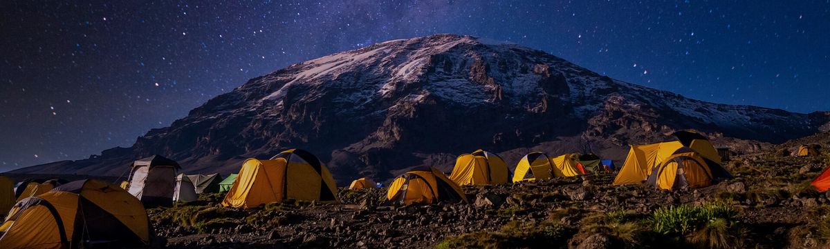 Simple Men and Southern Nights