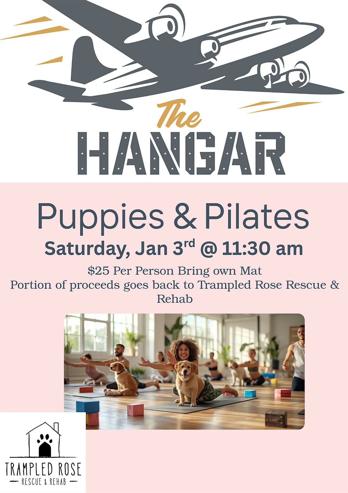 Puppies & Pilates