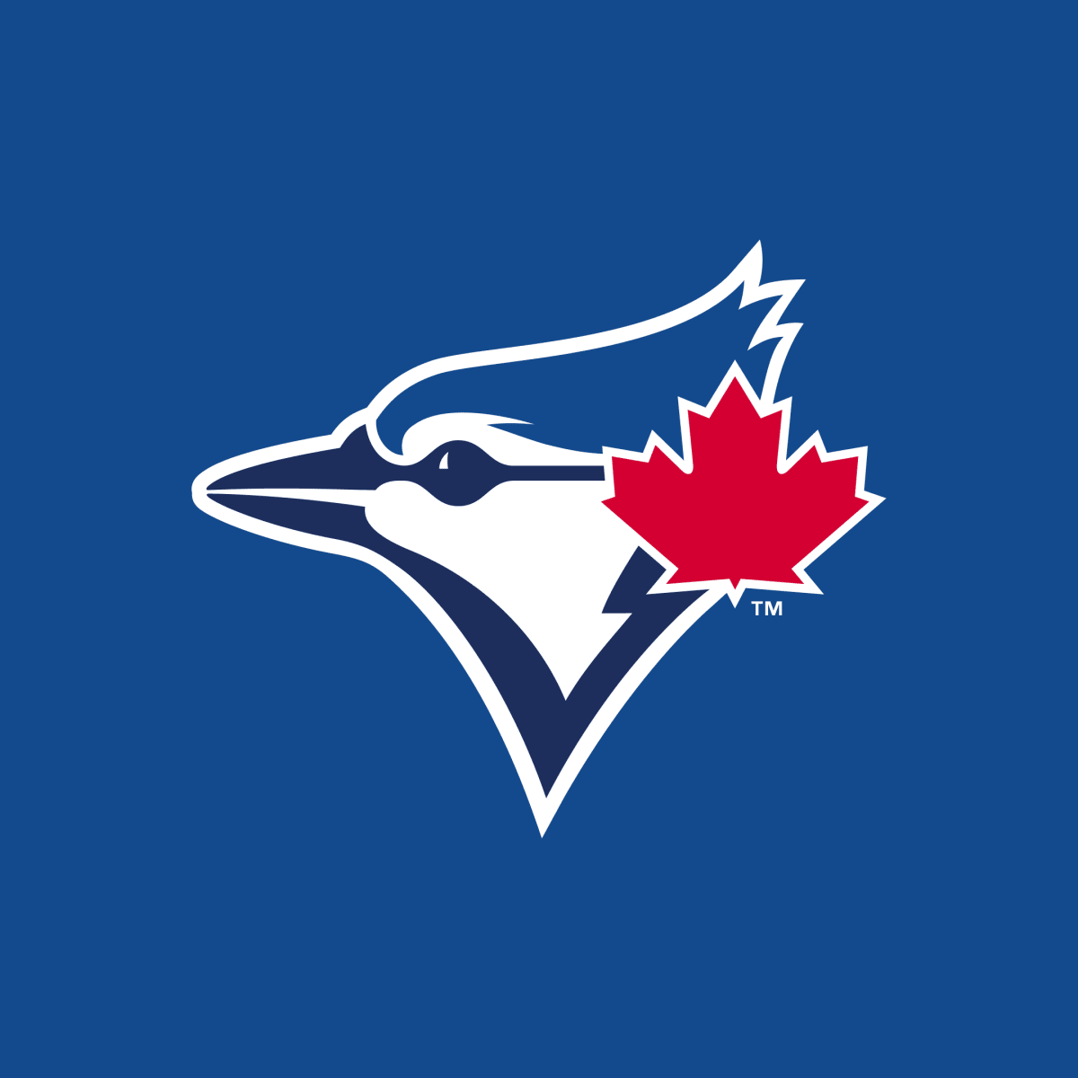 Bradenton Marauders at Dunedin Blue Jays at TD Ballpark