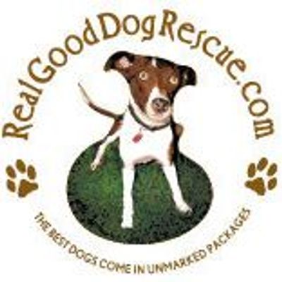 Real Good Dog Rescue