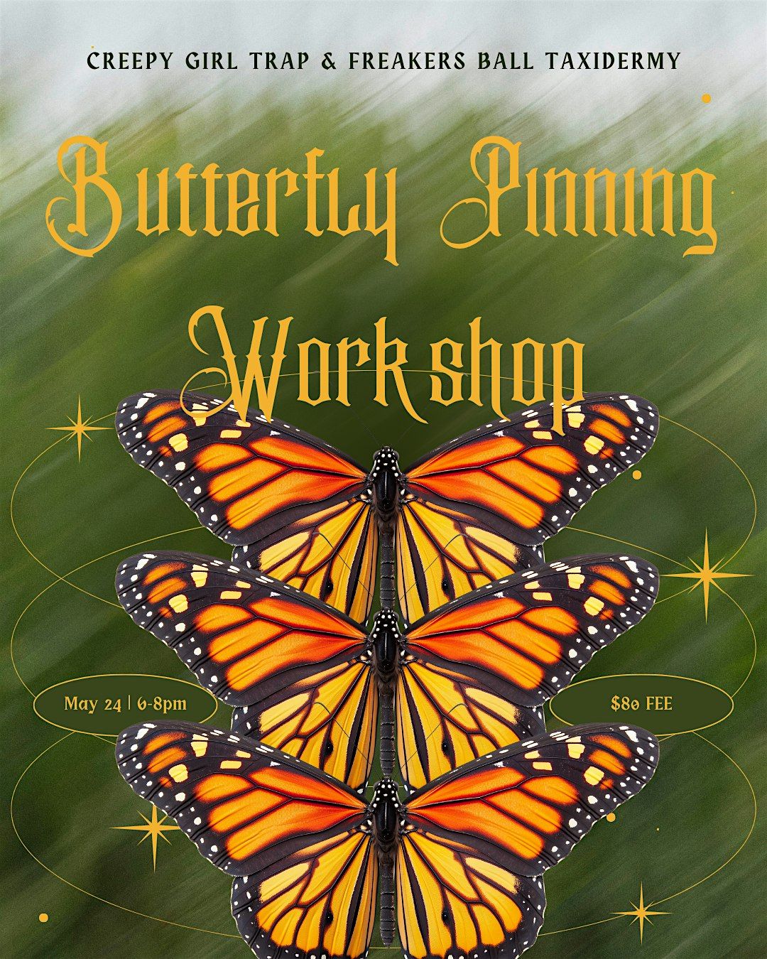 Butterfly Pinning Workshop