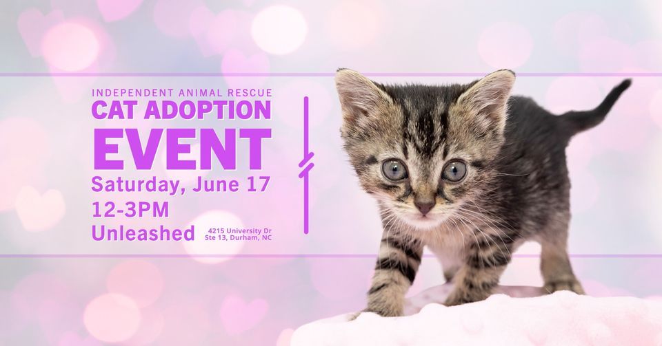 Independent Animal Rescue Cat Adoption Event Unleashed, Durham