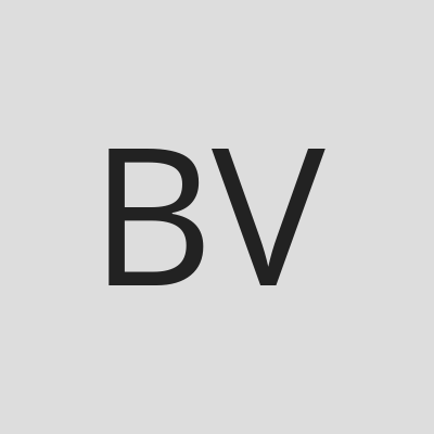 BSV - Berner Schriftsteller Verein