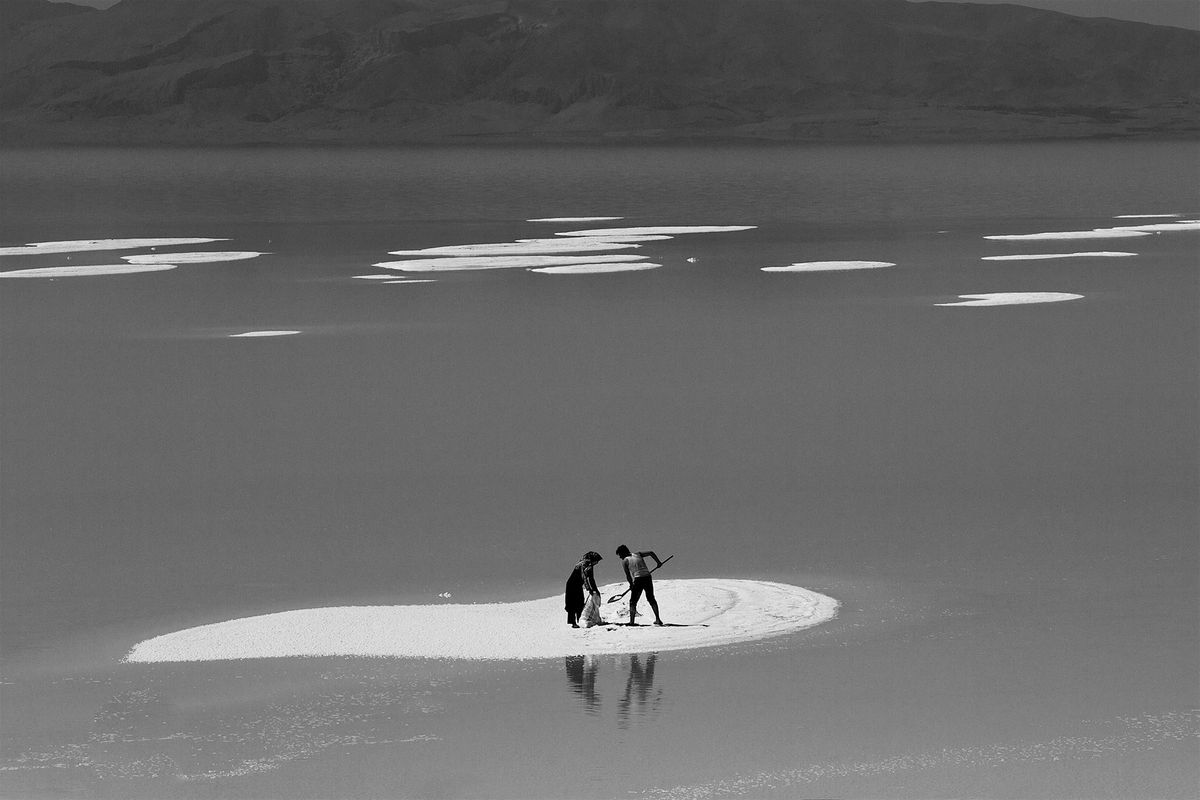 Learning from the desert \/ Enseignements du d\u00e9sert