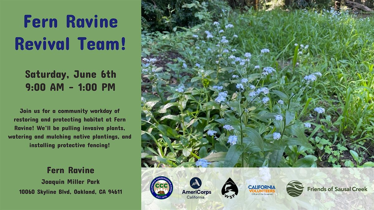 Fern Ravine Habitat Restoration!
