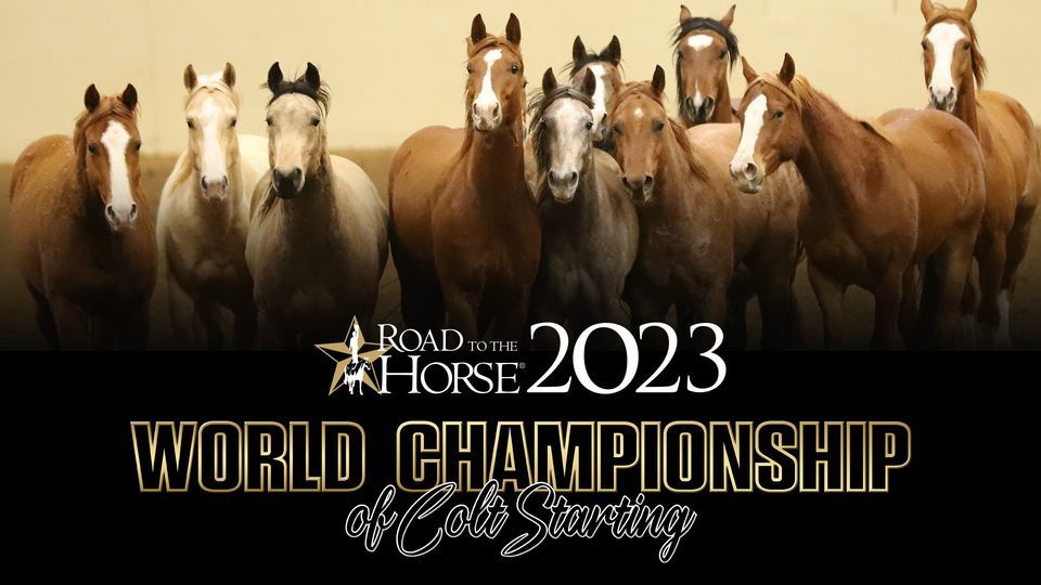 Road to the Horse 2023 World Championship of Colt Starting Alltech
