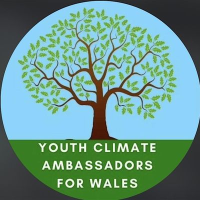 Youth Climate and Peace Ambassadors for wales