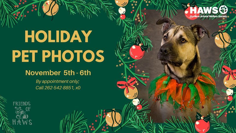 Holiday Pet Photos | Humane Animal Welfare Society - HAWS of Waukesha ...