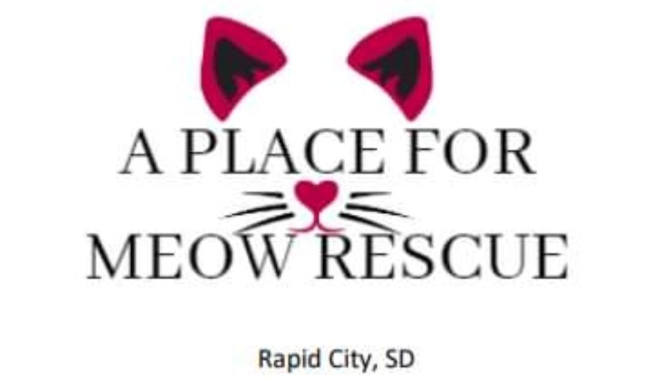Petco Adoption Event