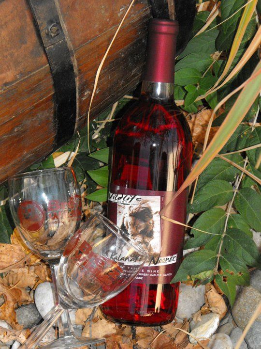 The Blue Roots Band at Wildlife Lodge & Winery, Carlyle on 9th March, 2024