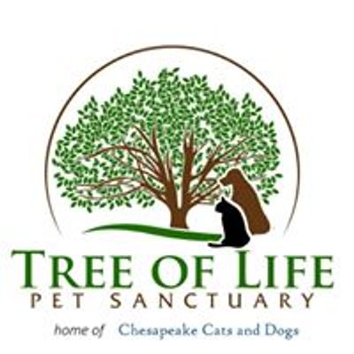 Chesapeake Cats and Dogs