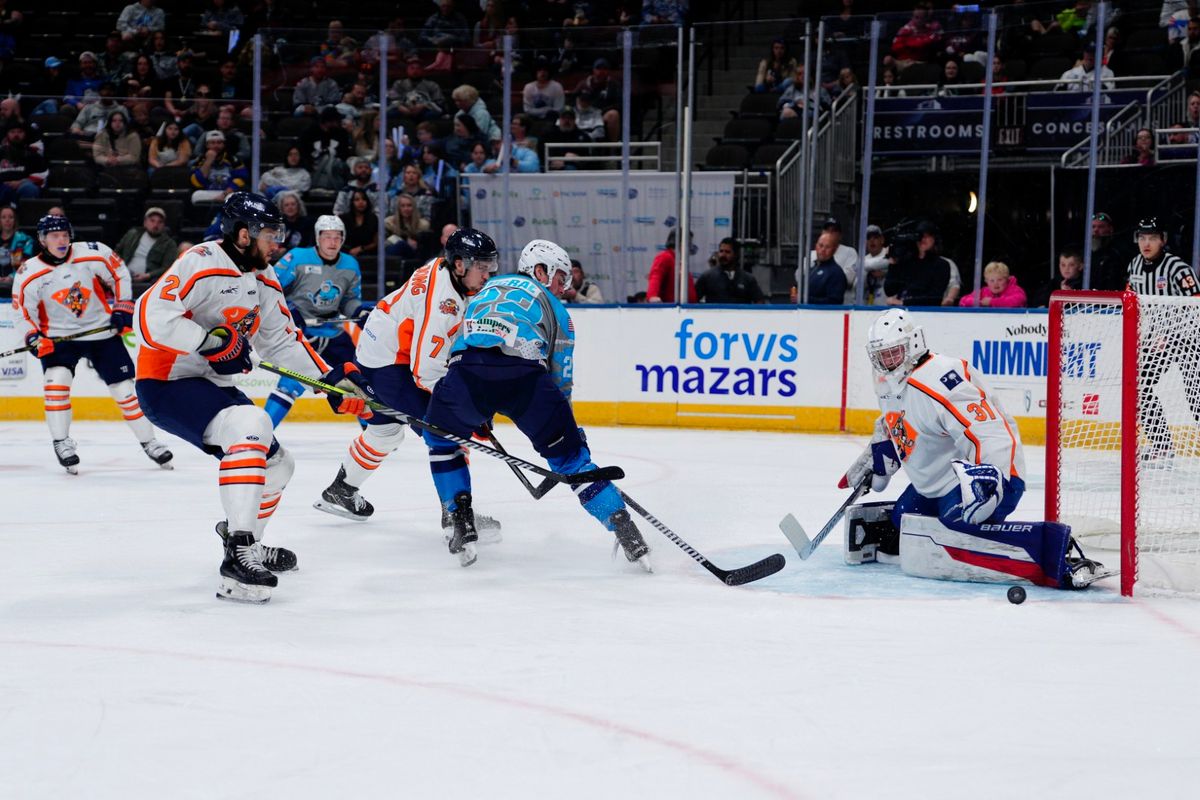 Greenville Swamp Rabbits vs. Jacksonville Icemen