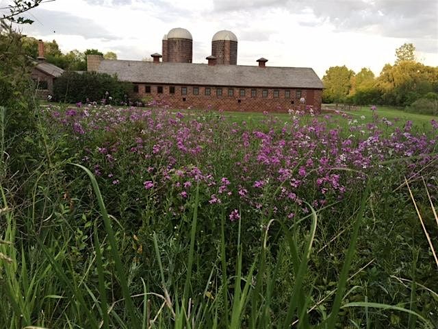 11\/15 Exhibits & 1PM Tour