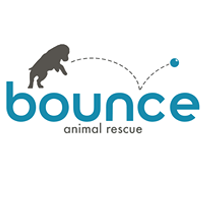 Bounce Animal Rescue